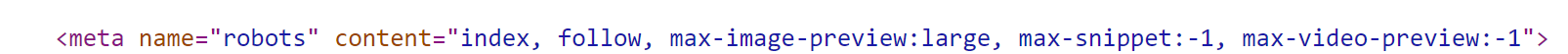 Вот как выглядит robots в HTML.png